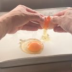 自分好みの厚さにカットすることができるので、フレンチトーストも超々厚切りにして作れます