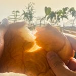 この天然酵母食パンは手で裂くとふんわり感がハッキリ伝わり食感のよさが際立ちます