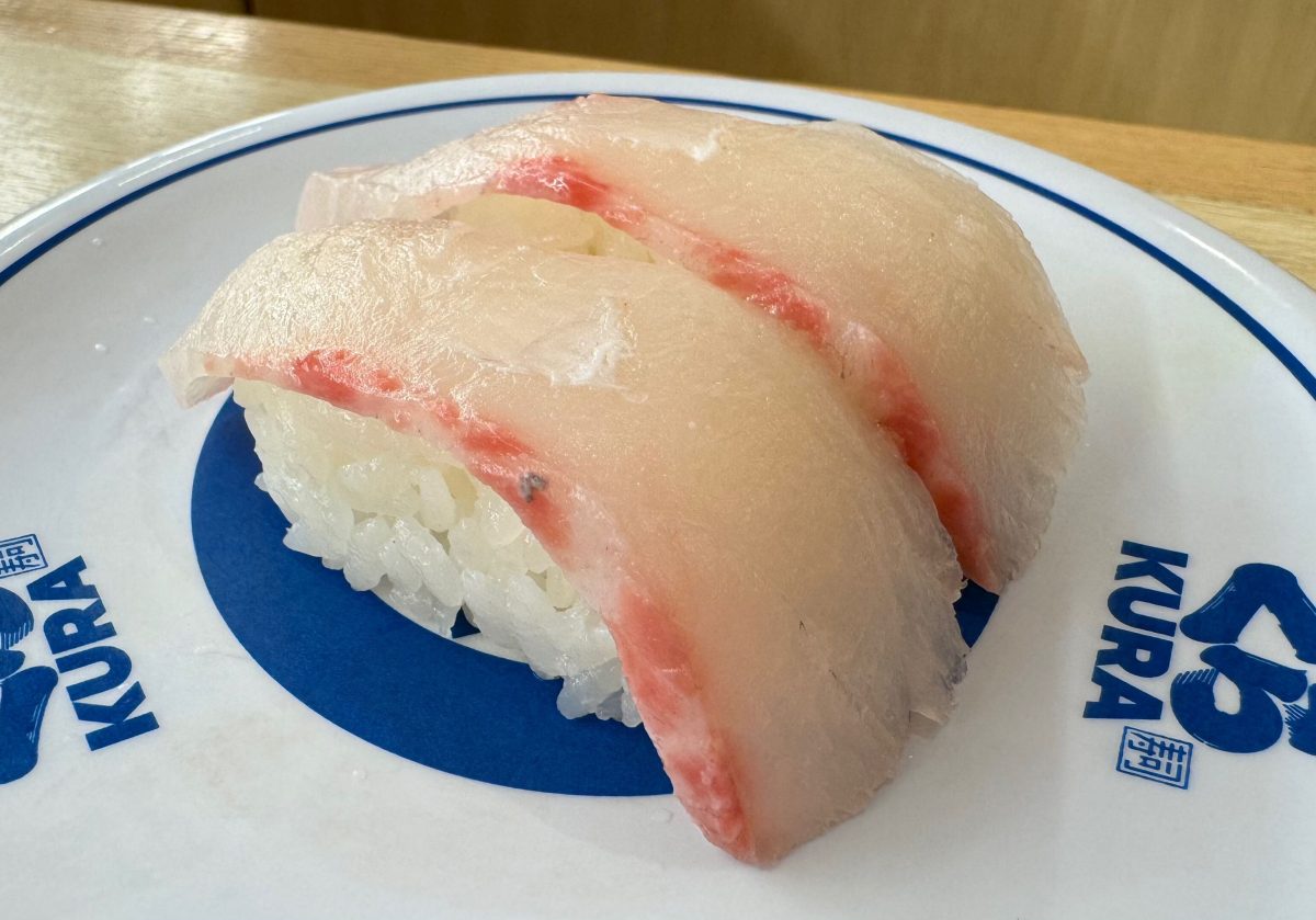奄美 活〆スギ