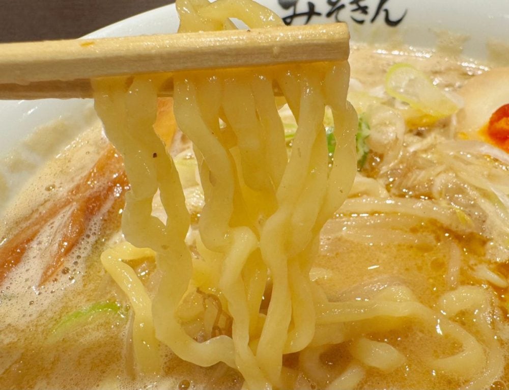 どこか懐かしさを感じる特注太ちぢれ麺は、濃いスープとの絡みも◎