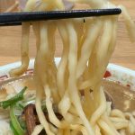 特注の中太麺は、もっちりと適度な柔らかさで、濃厚なスープともよく絡みます