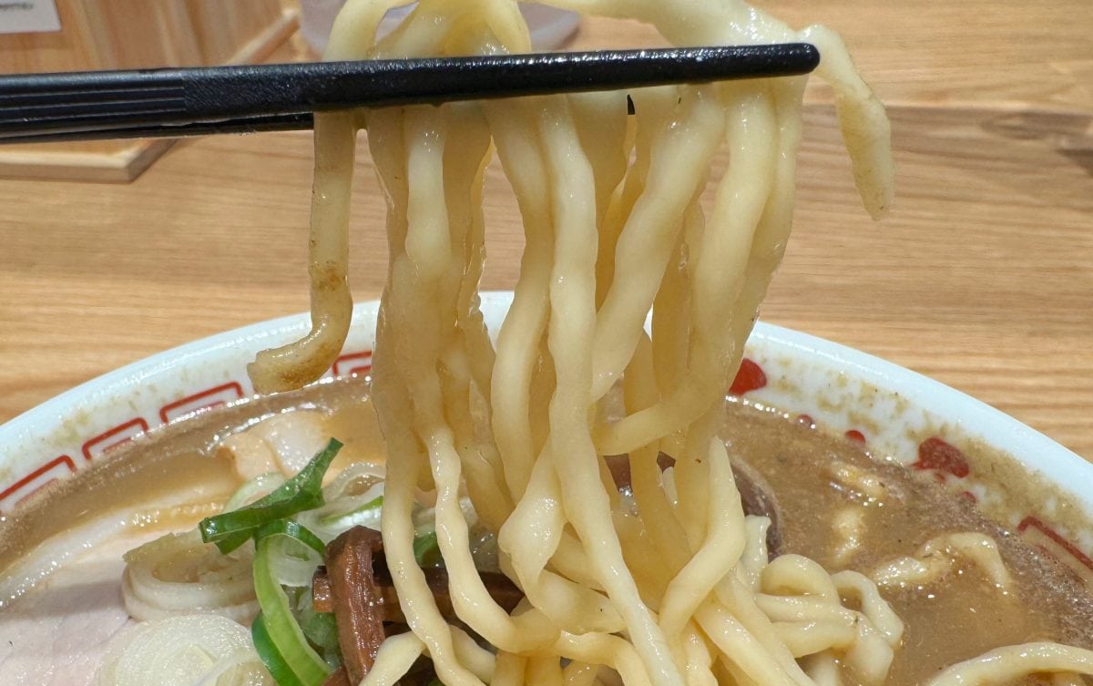 特注の中太麺は、もっちりと適度な柔らかさで、濃厚なスープともよく絡みます