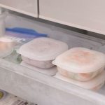 マーナ 極 冷凍ごはん容器（WEB限定色）　「半透明だから中身がわかる」