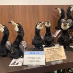 岐阜、長良川うかいミュージアム