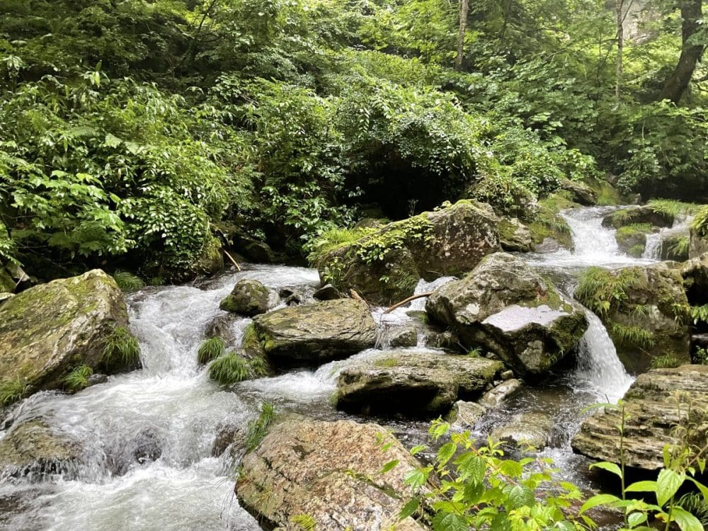 岐阜、阿弥陀ヶ滝