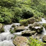 岐阜、阿弥陀ヶ滝