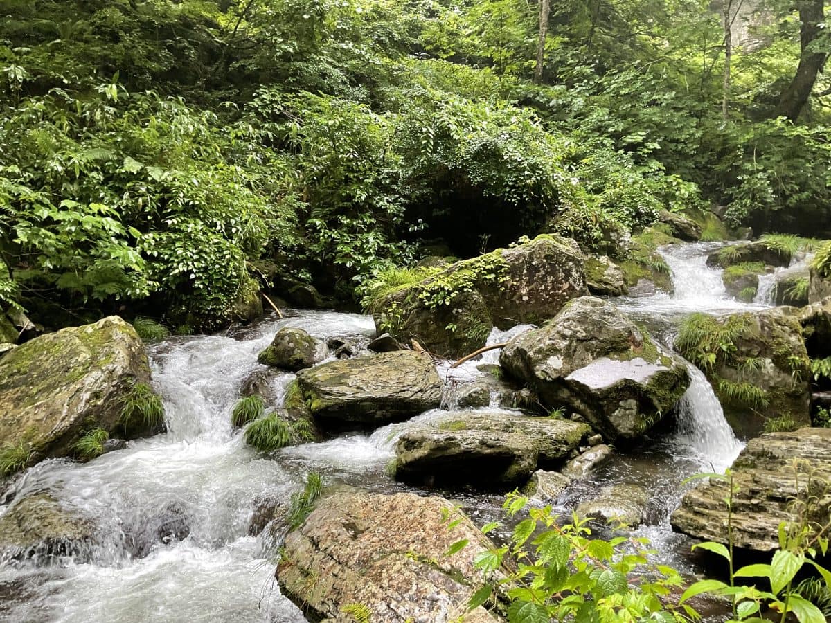 岐阜、阿弥陀ヶ滝