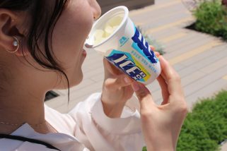 「人気のアイスランキング」2位は夏のクールダウンにもってこいな定番氷菓、1位は……？“森永製菓のアイス”人気トップ5