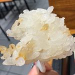 もっちりとした食感と米の甘みが際立っていて、そのままでも美味しく食べられるクオリティ