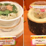 第一弾で登場するうどんとサラダ