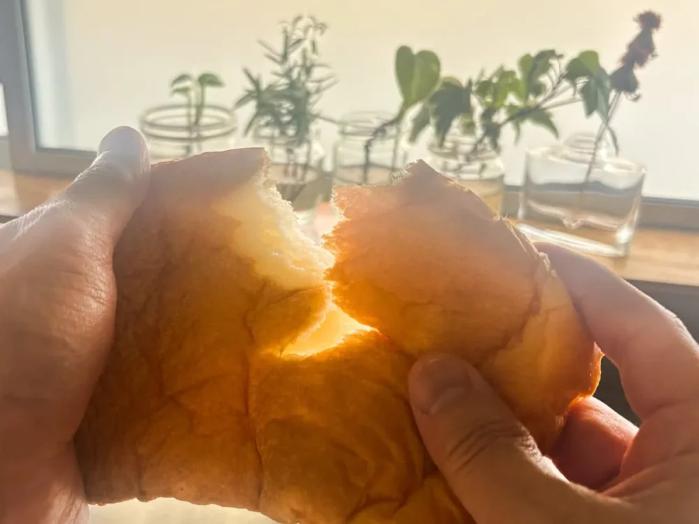 第3位　「289円でこのクオリティ!?」安いのにデカくて超絶うまい“業務スーパーの天然酵母食パン”が神だった