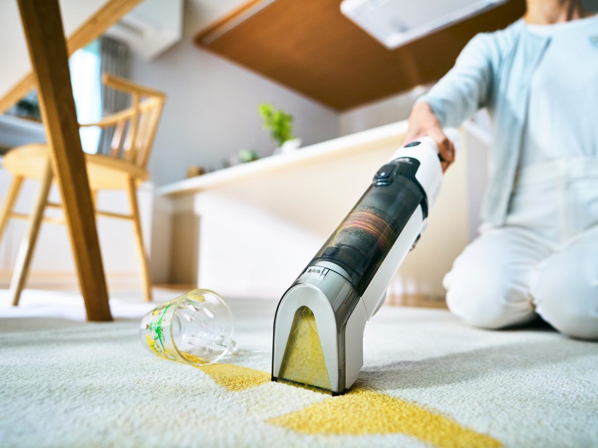 シャークの掃除機