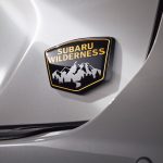 「WILDERNESS」のオーナメントを装備することで特別感を演出