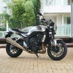 ウルフシルバーメタリック（グレーストライプ）カラー