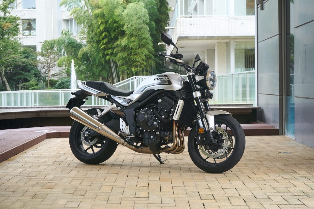 ウルフシルバーメタリック（グレーストライプ）カラー