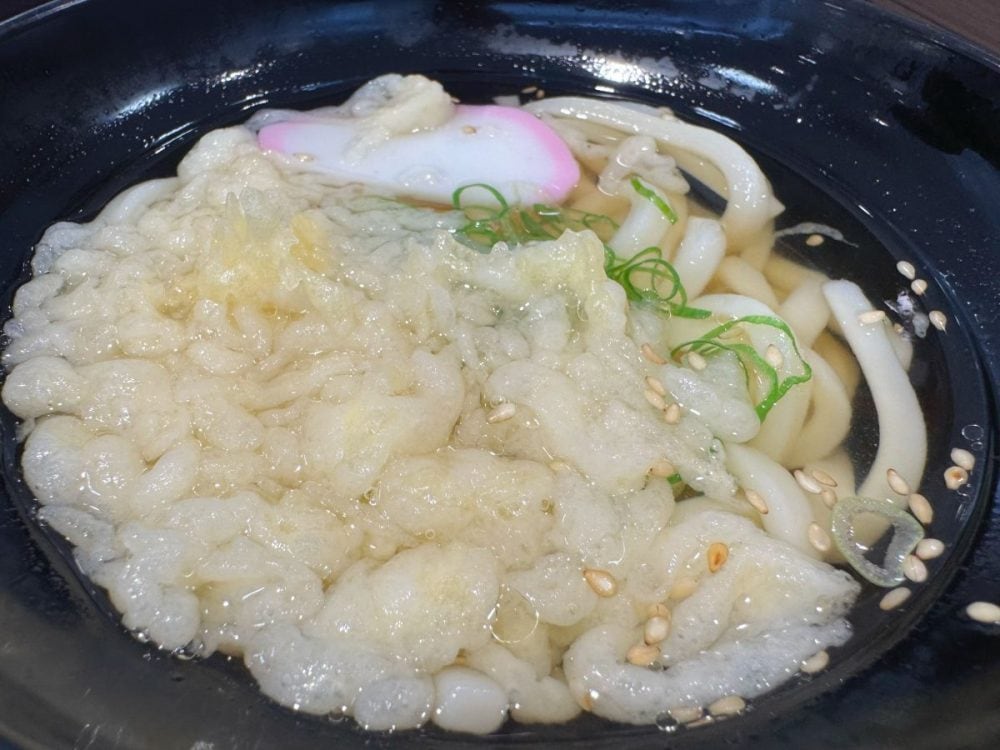 揚げ玉が入ったたぬきうどんは風味豊かで、かけうどんよりまろやかなコクを感じる仕立てに