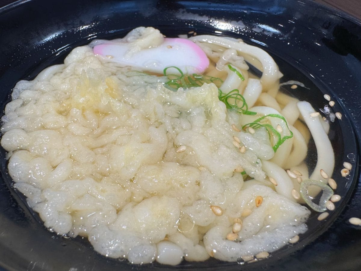 揚げ玉が入ったたぬきうどんは風味豊かで、かけうどんよりまろやかなコクを感じる仕立てに