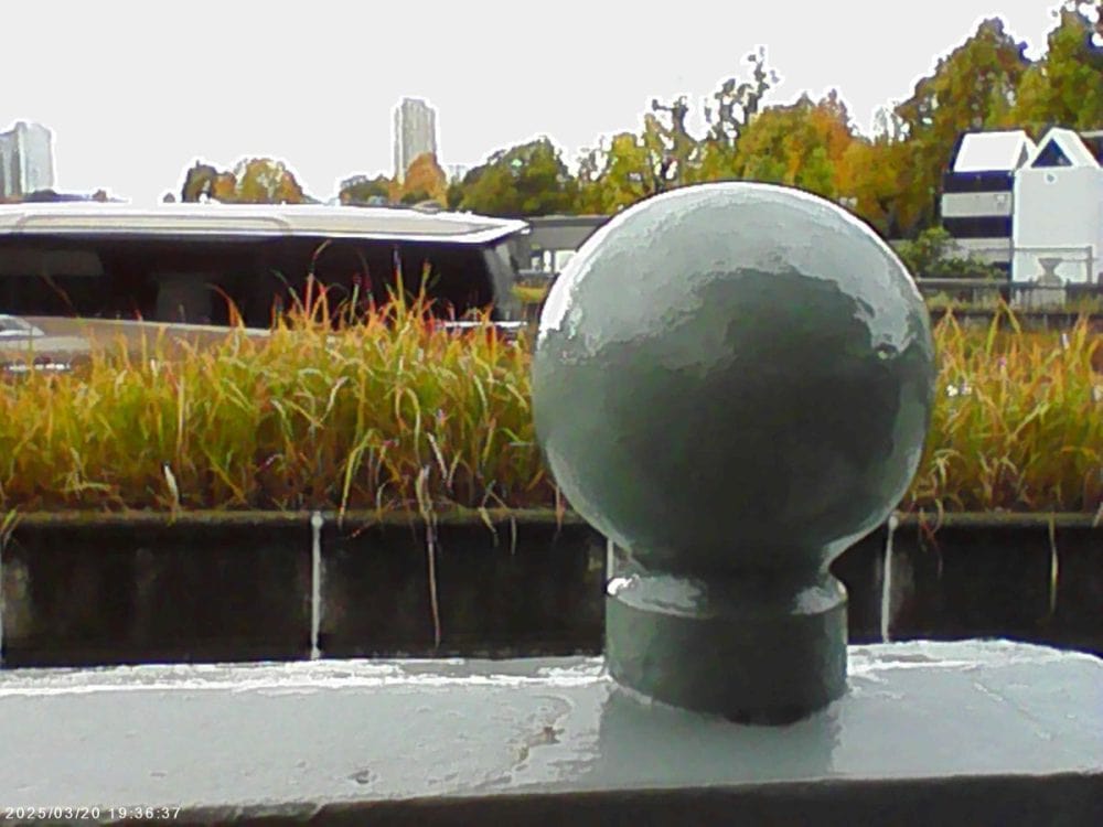 スリーコインズのミニトイカメラで撮影した画像