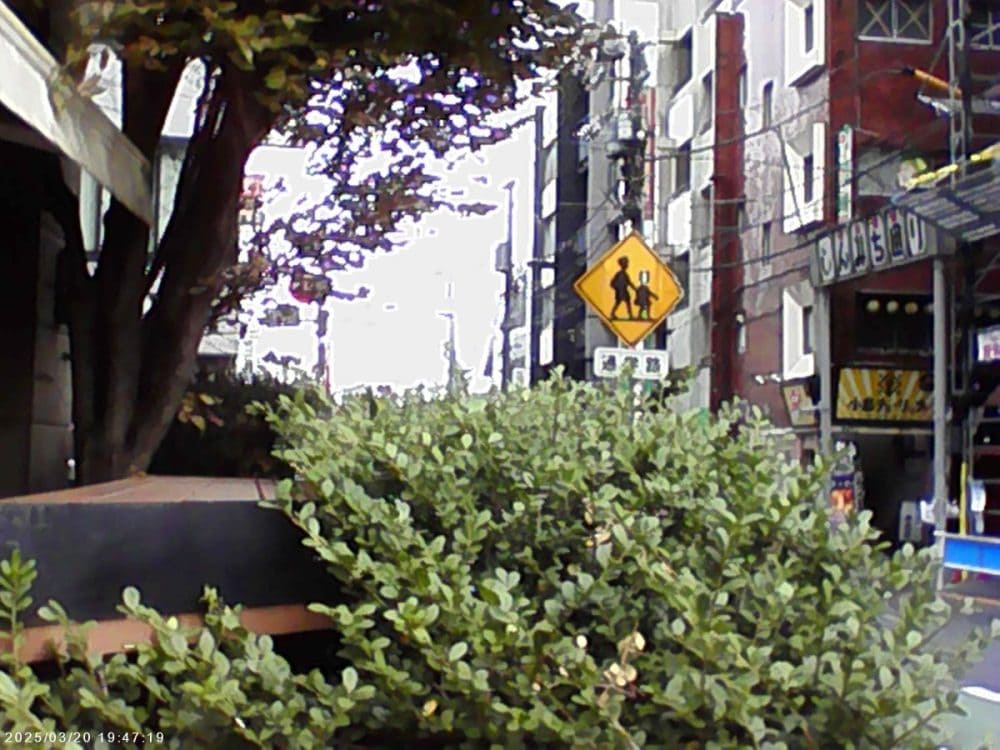 スリーコインズのミニトイカメラで撮影した画像