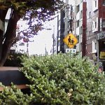 スリーコインズのミニトイカメラで撮影した画像