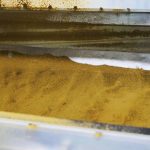 塩・砂糖・スパイスをブレンド