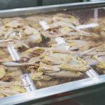 国産丸鶏を巨大タンクでじっくり解凍