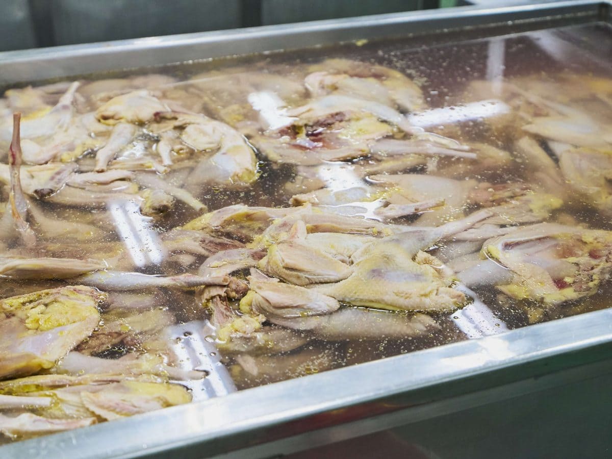 国産丸鶏を巨大タンクでじっくり解凍