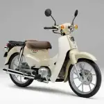 第1位　【110ccカブが原付免許で乗れる】ホンダから新基準の原付一種「スーパーカブ110シリーズ＆ディオ110 Lite」4モデルが登場！
