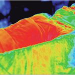 体がくるまった部分は、ほぼ体温と変わらない暖かさ