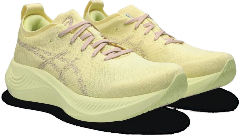 ASICS
ニンバス ミライ
￥22,000