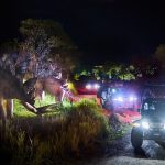 「ダイナソーサファリ（ナイトバージョン）」