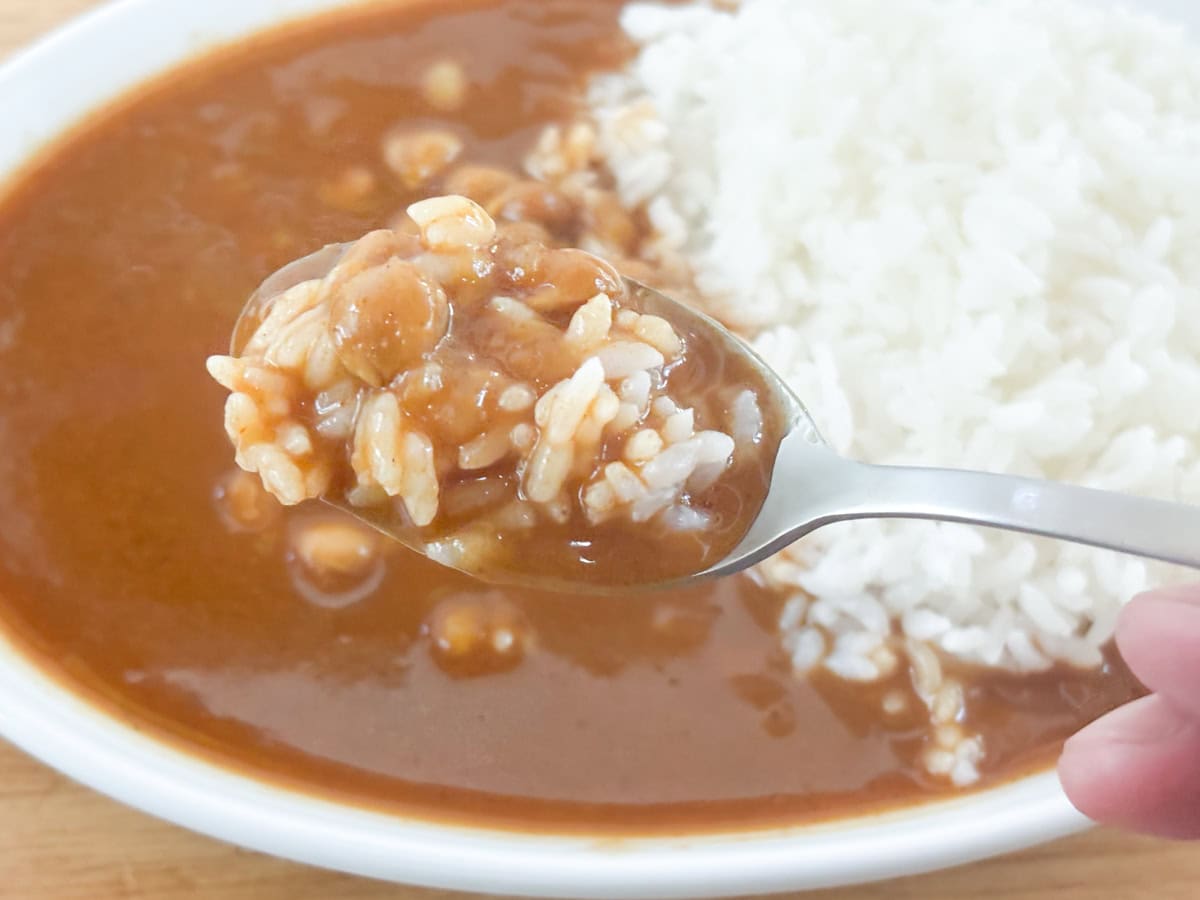 ターメリックライスより、白米の方がよりスパイスを感じます