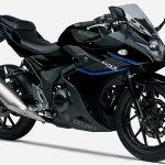 パールネブラーブラックカラー