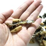 なぜかザバン海苔の存在感が全くない