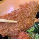 サクッと熱々の衣をまとった程よい厚みのまぐろが食べ応えアリ