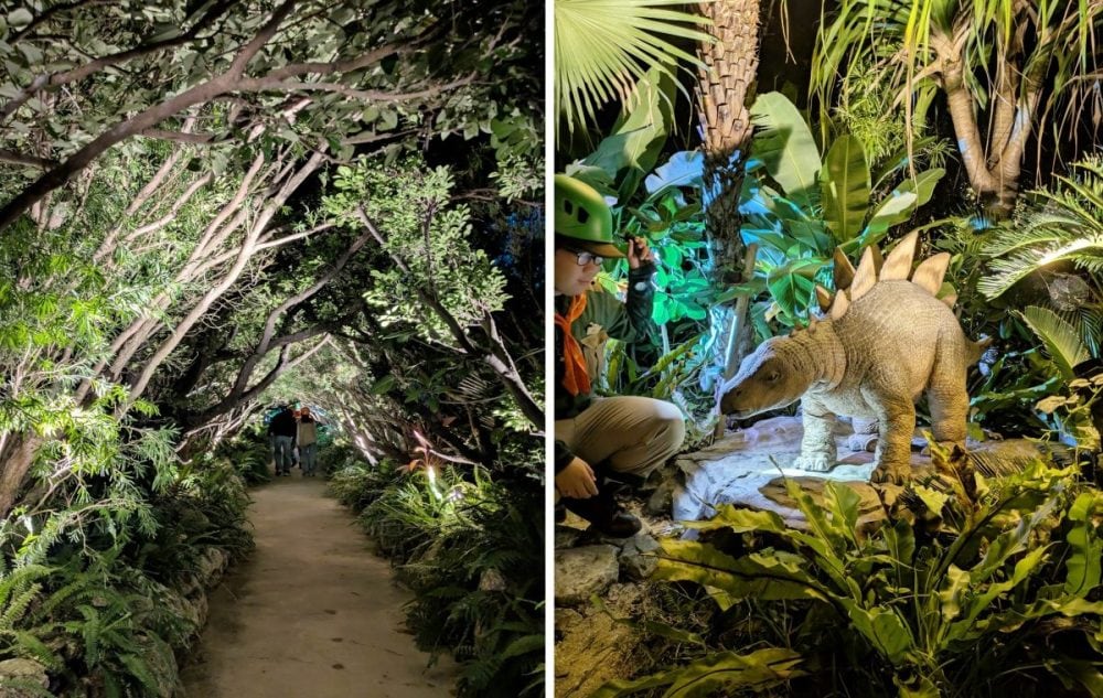 「ファインディング ダイナソーズ」