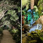 「ファインディング ダイナソーズ」