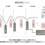 睡眠のメカニズム