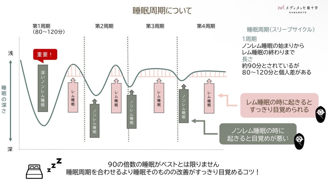 睡眠のメカニズム