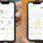 「脾臓」「肺」「腎臓」「肝臓」などと、内臓ごとにスコアがつけられていた