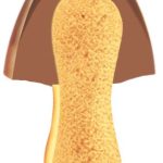 「きのこ」「たけのこ」ともに2層構造のチョコレートを採用