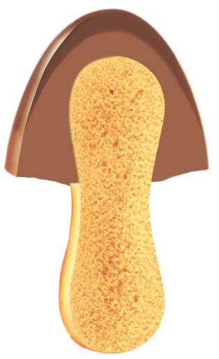 「きのこ」「たけのこ」ともに2層構造のチョコレートを採用