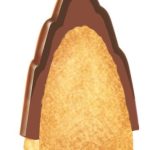 「きのこ」「たけのこ」ともに2層構造のチョコレートを採用