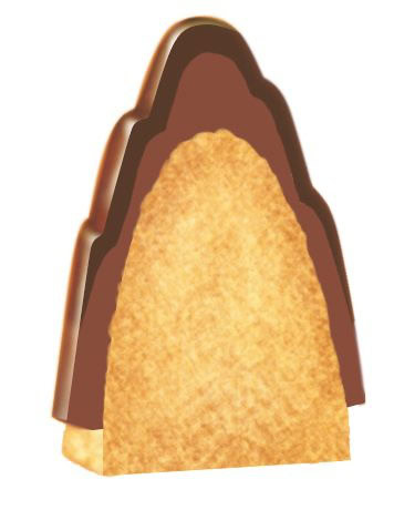 「きのこ」「たけのこ」ともに2層構造のチョコレートを採用