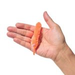 増田屋コーポレーション モーラー ￥473