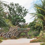 沖縄北部に新名所誕生