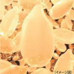 より深い甘みとはじけるような粒立ちのご飯を実現