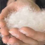 トレーサビリティが確保され、不当な扱いがされていない羽毛製品を選びやすくなる