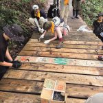 会場周辺の環境保全を行う「FUJIROCKの森」活動も実施