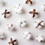 独自開発の繊維を使った生地